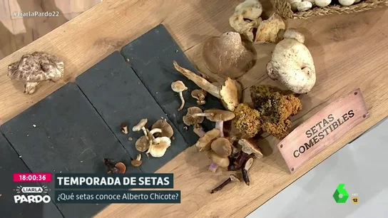 El color, el olor, la forma... ¿Cómo distinguir las setas venenosas de las comestibles? El color, el olor, la forma... ¿Cómo distinguir las setas venenosas de las comestibles?