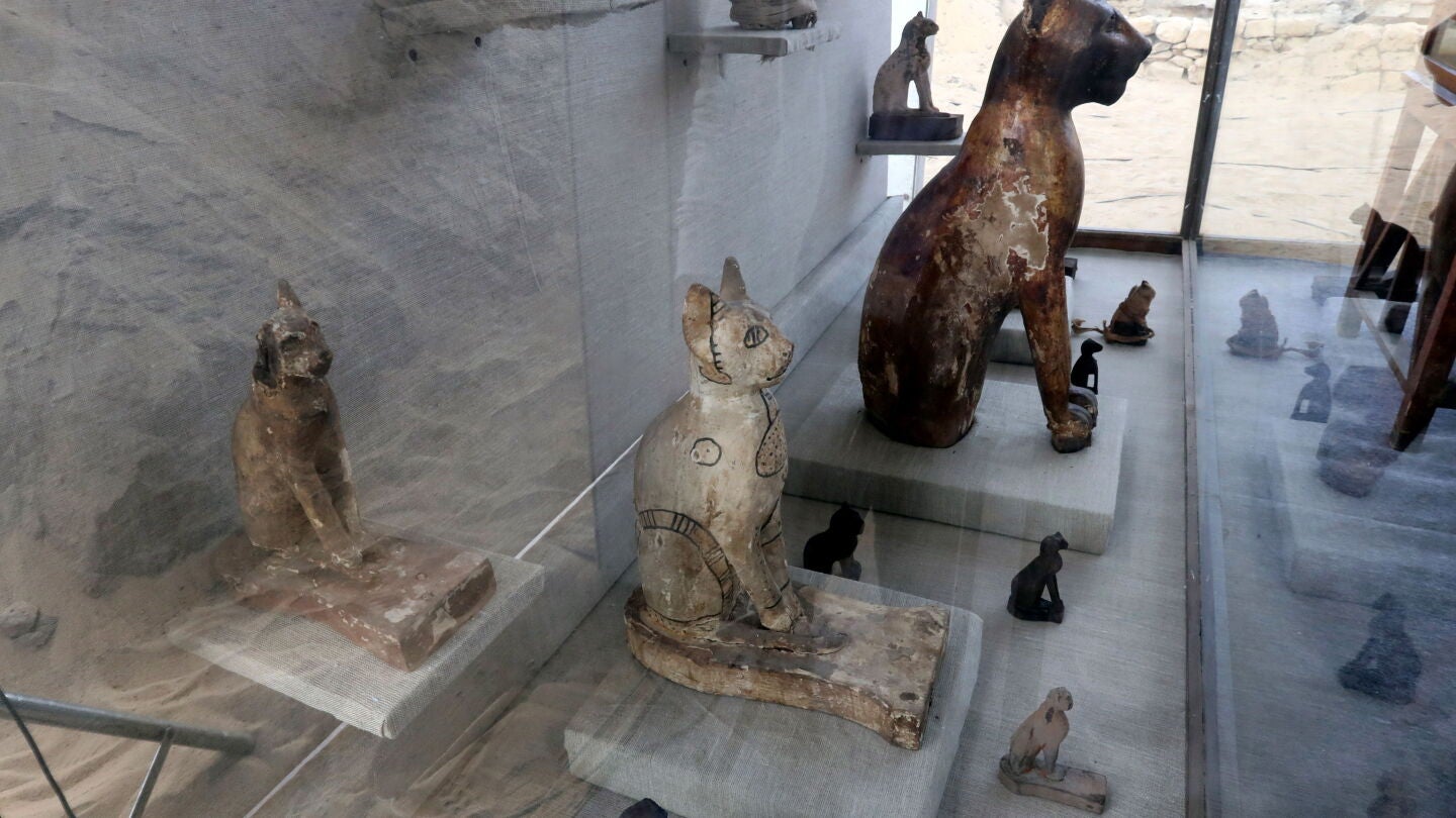 Unas de las momias de gatos halladas en Egipto
