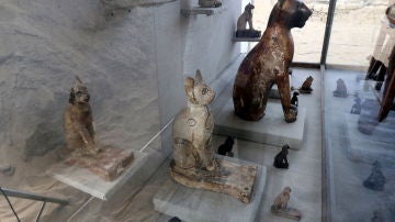 Unas de las momias de gatos halladas en Egipto