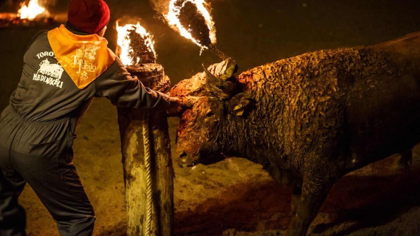 Toro Jubilo de Medinaceli