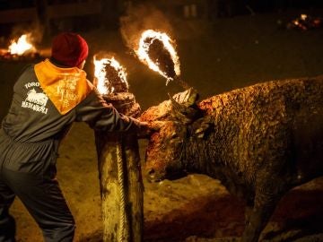 Toro Jubilo de Medinaceli Toro Jubilo de Medinaceli