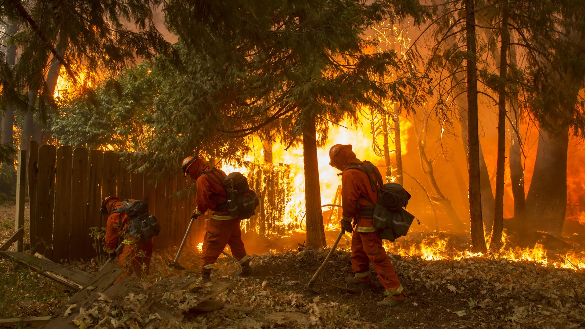 Un grupo de bomberos fue registrado este viernes al combatir un incendio en el condado de Butte (California, EE. UU.).