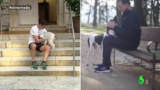 Dani Mateo repasa las similitudes entre Rajoy y Sánchez: "Tratan a sus mascotas con la misma destreza que el encantador de perros" Dani Mateo repasa las similitudes entre Rajoy y Sánchez: "Tratan a sus mascotas con la misma destreza que el encantador de perros"