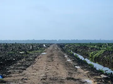 Las compañías deben tomar medidas ya para cumplir los objetivos fijados para 2020 Las compañías deben tomar medidas ya para cumplir los objetivos fijados para 2020
