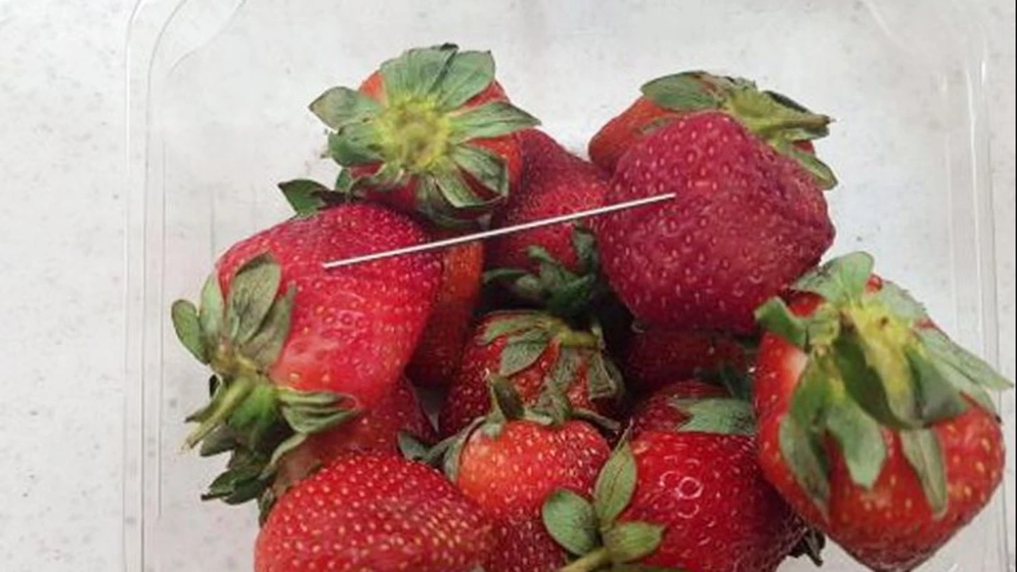 Algunas de las fresas saboteadas en Australia Algunas de las fresas saboteadas en Australia