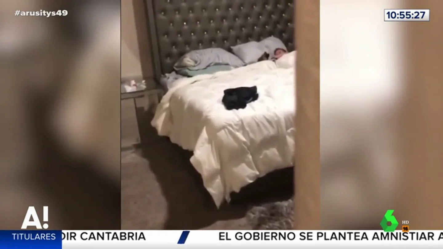 Un niño y su cachorro conquistan los corazones de los internautas con un inocente juego Un niño y su cachorro conquistan los corazones de los internautas con un inocente juego