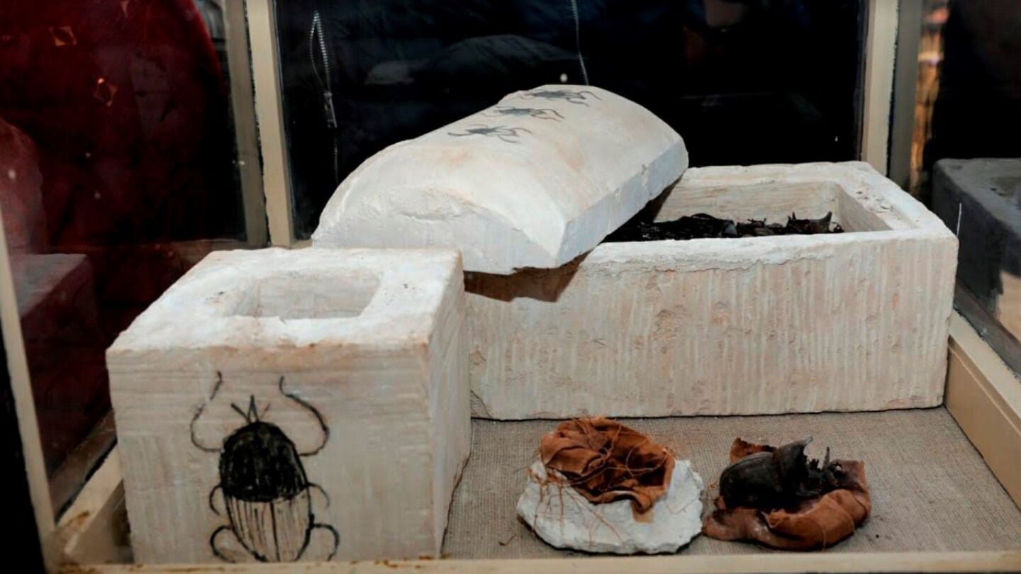 Una momia de escarabajo, tras ser hallado por una misi&oacute;n arqueol&oacute;gica egipcia