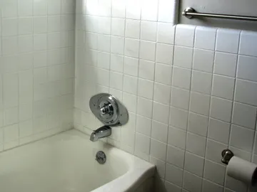 Las condiciones de luz, humedad y temperatura del cuarto de baño son idóneas para el moho Las condiciones de luz, humedad y temperatura del cuarto de baño son idóneas para el moho