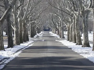 Viajes de invierno Viajes de invierno