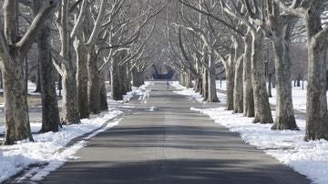 Viajes de invierno