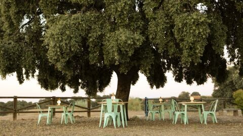 Dormir en una burbuja con vistas panorámicas al firmamento