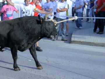 La Asociación 'Animanaturalis' denuncia la participación de decenas de menores en un espectáculo taurino en Tarragona La Asociación 'Animanaturalis' denuncia la participación de decenas de menores en un espectáculo taurino en Tarragona