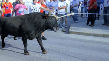 La Asociación 'Animanaturalis' denuncia la participación de decenas de menores en un espectáculo taurino en Tarragona