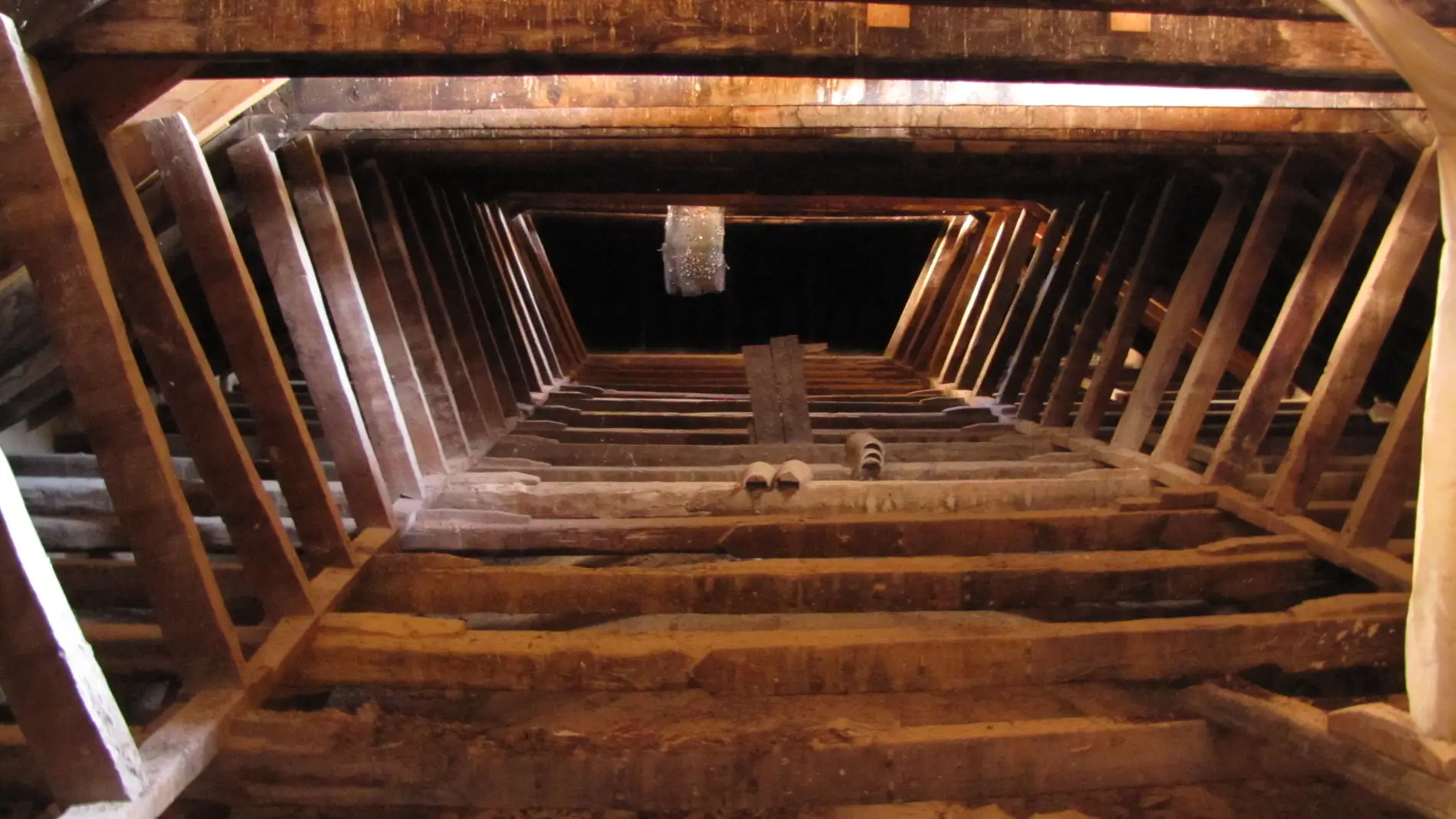 Revelan el origen de la madera usada en monumentos religiosos andaluces