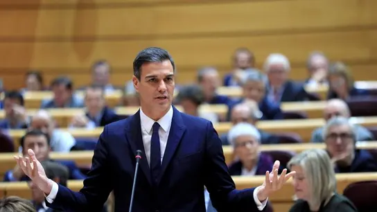 El presidente del Gobierno, Pedro Sánchez, en el Senado El presidente del Gobierno, Pedro Sánchez