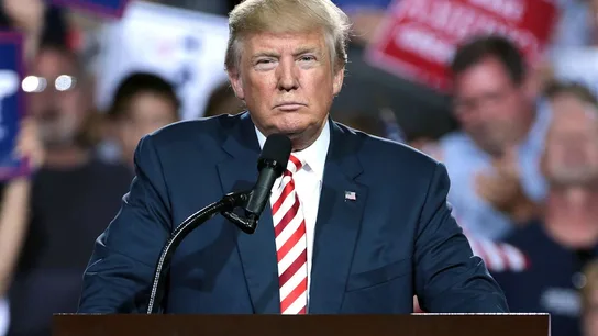 Los bots llenaron Twitter de mentiras en las elecciones que gano Donald Trump Los bots llenaron Twitter de mentiras en las elecciones que gano Donald Trump