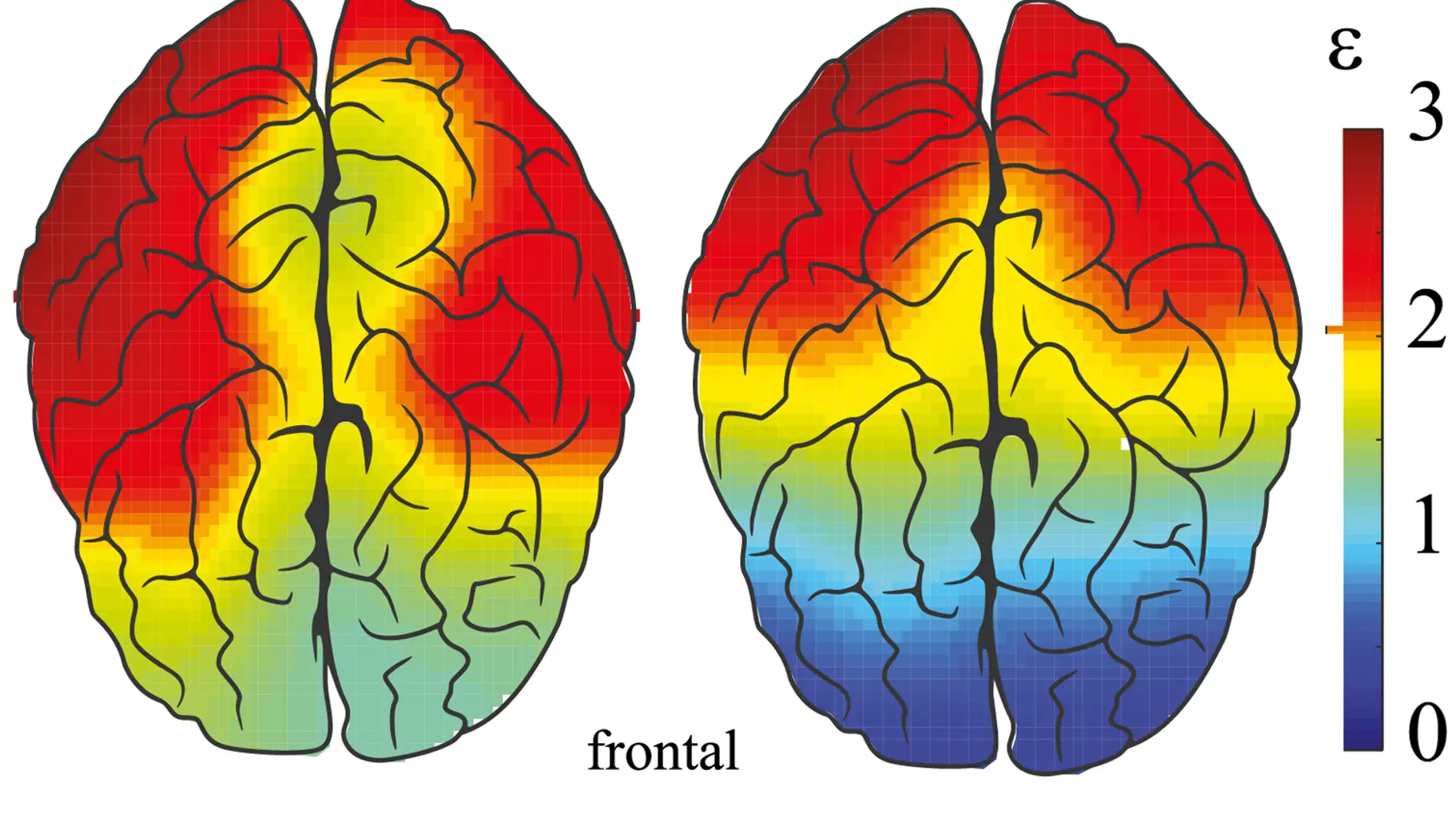 Relación entre las energías de los componentes espectrales de alta y baja frecuencia, calculados para cada canal EEG durante las fases activas y pasivas. Fuente: A. Pisarchik et al.