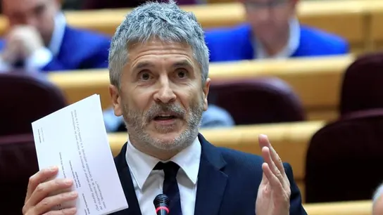 Foto de archivo del ministro del Interior, Fernando Grande-Marlaska, en el Senado El ministro del Interior, Fernando Grande-Marlaska, en el Senado