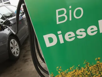 Biodiesel Biodiesel