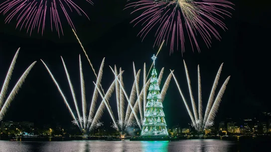 El árbol de Navidad flotante más grande del mundo, en Río de Janeiro El árbol de Navidad flotante más grande del mundo, en Río de Janeiro