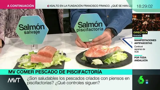 Pescado salvaje vs pescado de piscifactoría: analizamos sus diferencias nutricionales Pescado salvaje vs pescado de piscifactoría: analizamos sus diferencias nutricionales