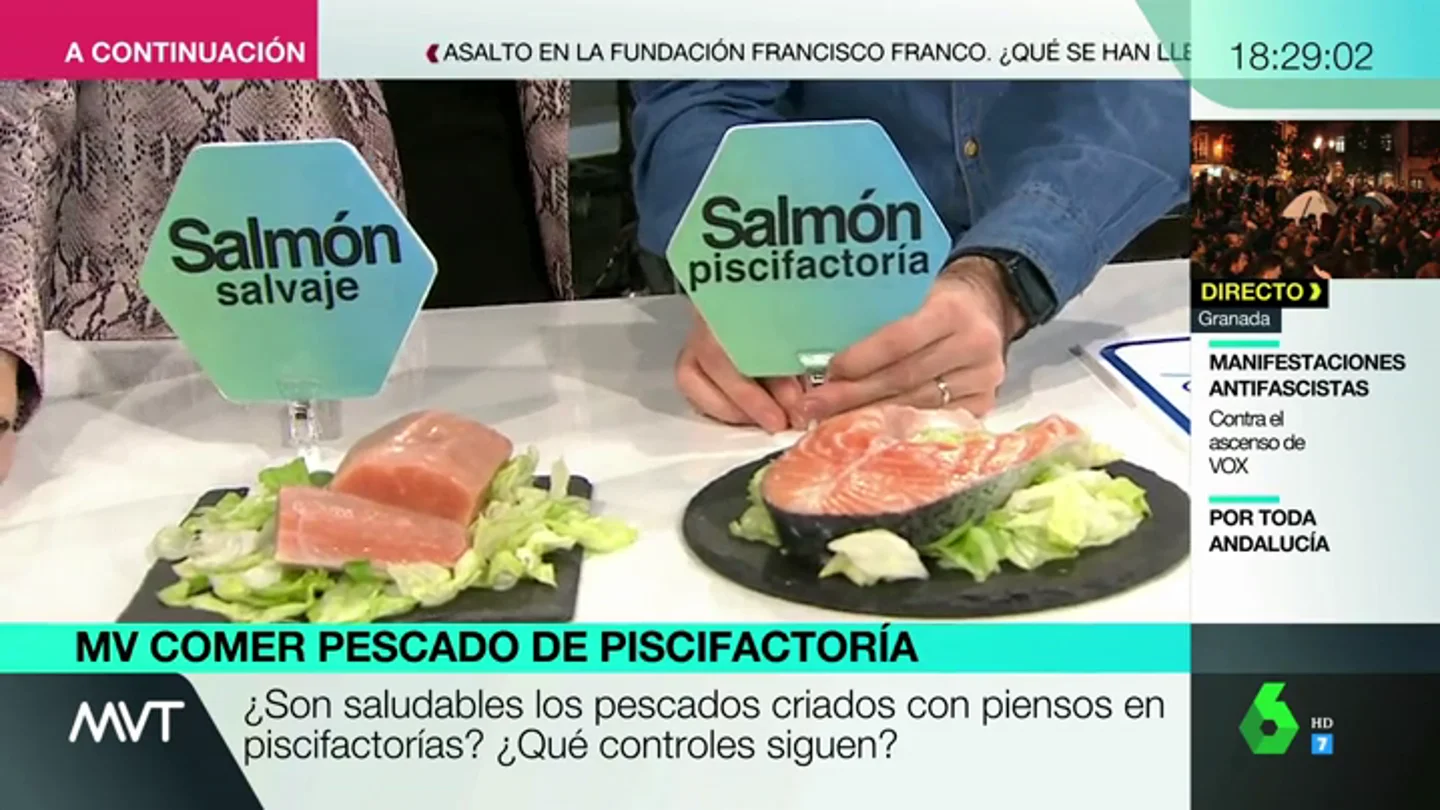 Pescado salvaje vs pescado de piscifactoría: analizamos sus diferencias nutricionales Pescado salvaje vs pescado de piscifactoría: analizamos sus diferencias nutricionales