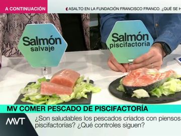 Pescado salvaje vs pescado de piscifactoría: analizamos sus diferencias nutricionales Pescado salvaje vs pescado de piscifactoría: analizamos sus diferencias nutricionales