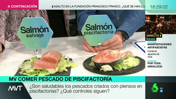 Pescado salvaje vs pescado de piscifactoría: analizamos sus diferencias nutricionales