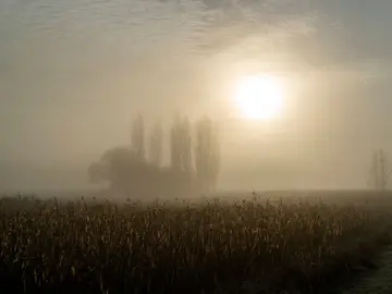 Un manto de niebla cubre Inglaterra (05-12-2018) Un manto de niebla cubre Inglaterra (05-12-2018)