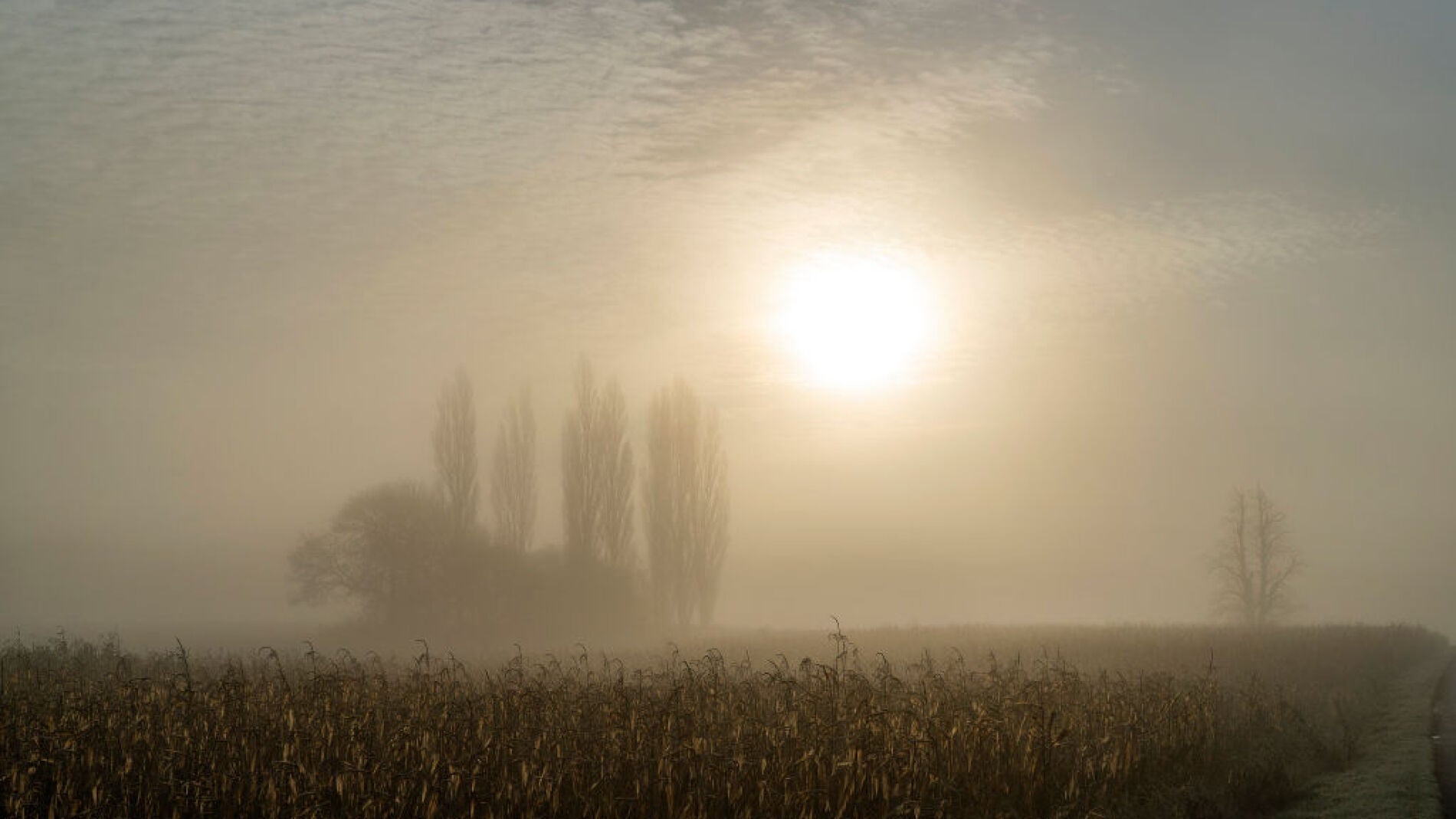 Un manto de niebla cubre Inglaterra (05-12-2018)