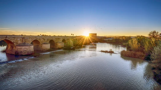 Imagen de Córdoba. Pedro Mengual, Córdoba