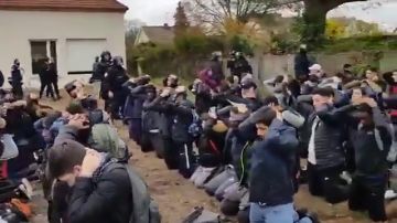 Francia investigará el arresto masivo de jóvenes implicados en las protestas estudiantiles 