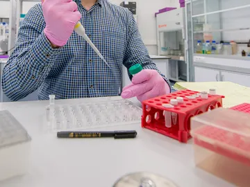 El científico usará la herramienta de edición genética CRISPR  El científico usará la herramienta de edición genética CRISPR