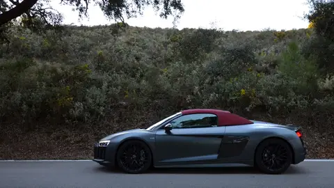 Audi R8 Spyder Plus Audi R8 Spyder Plus