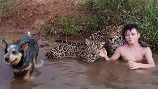 Lo que se esconde detrás de la viral fotografía de un niño jugando con jaguares en Brasil Lo que se esconde detrás de la viral fotografía de un niño jugando con jaguares en Brasil