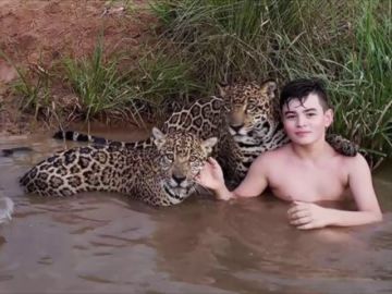 Lo que se esconde detrás de la viral fotografía de un niño jugando con jaguares en Brasil Lo que se esconde detrás de la viral fotografía de un niño jugando con jaguares en Brasil
