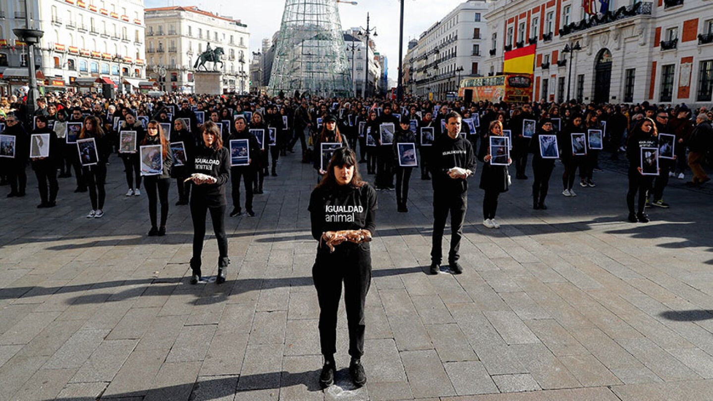 Activistas de Igualdad Animal protestan en Sol
