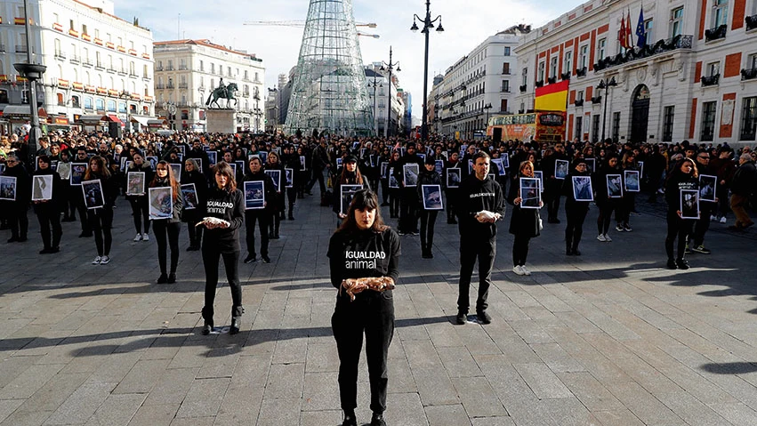 Activistas de Igualdad Animal protestan en Sol