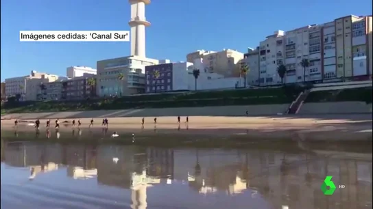 Una patera con 30 personas llega a Cádiz Se les abrirá un expediente de devolución
