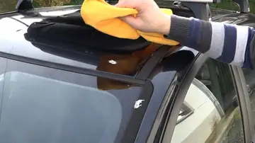 Así debes limpiar los excrementos de ave Así debes limpiar los excrementos de ave