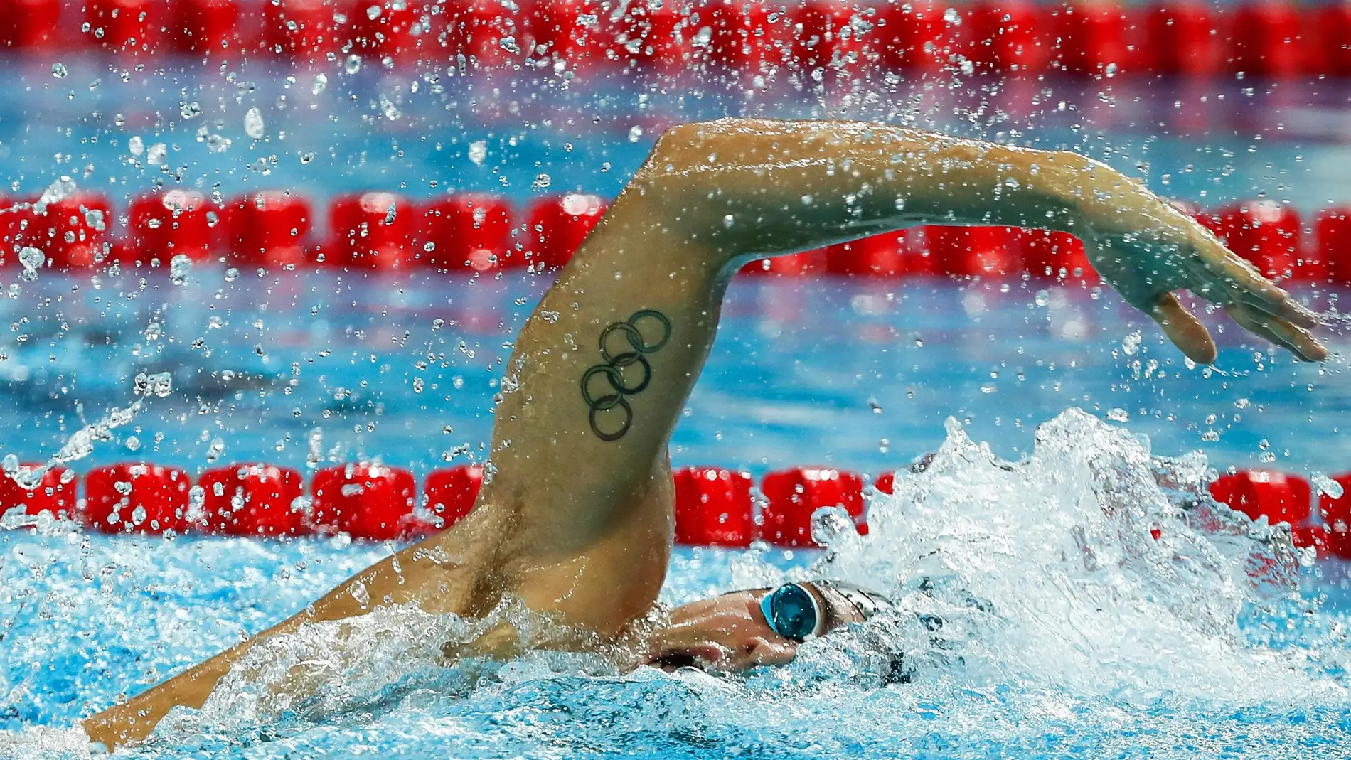 Campeonato mundial de natación (11-12-18) Campeonato mundial de natación (11-12-18)