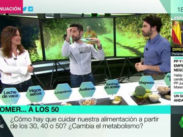 METABOLISMO METABOLISMO