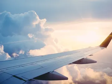 Viajar con mascotas Viajar con mascotas