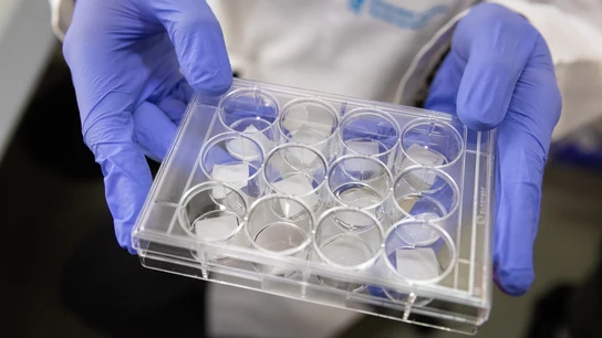 Científicos españoles Científicos españoles