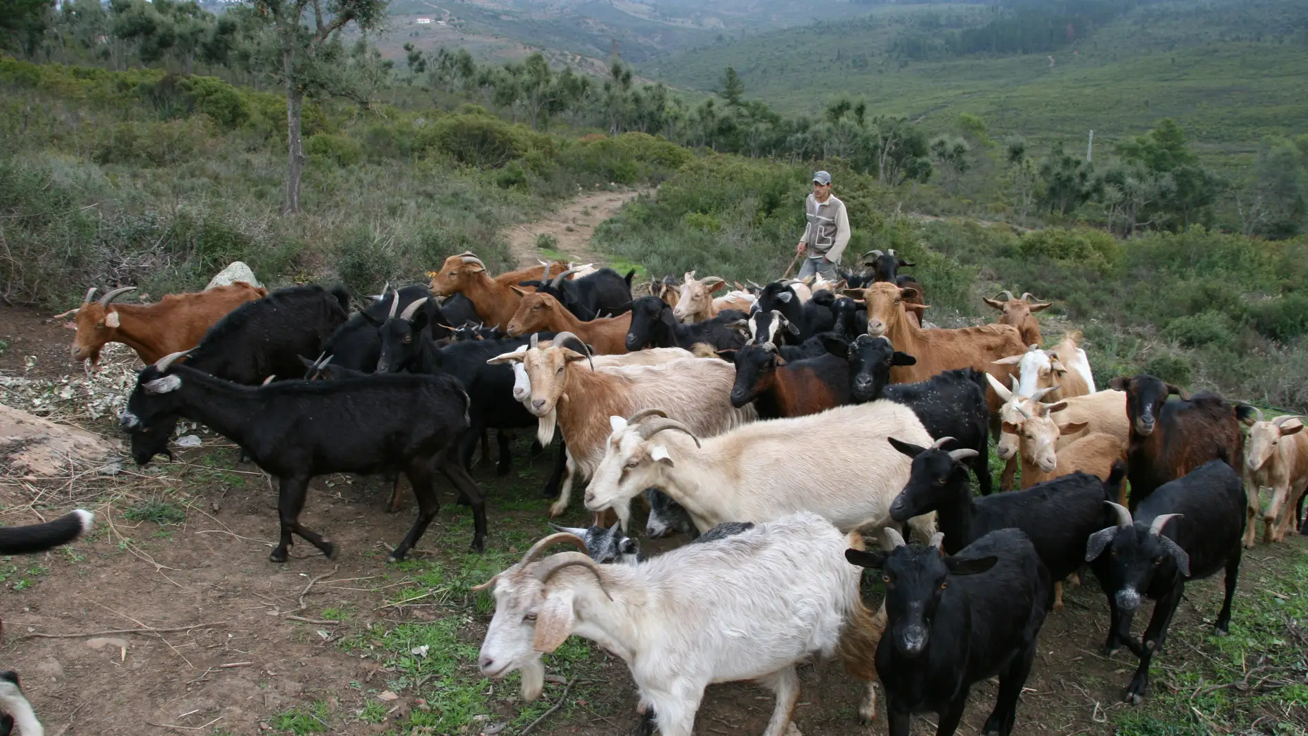 Reabaño en Chefchaouen