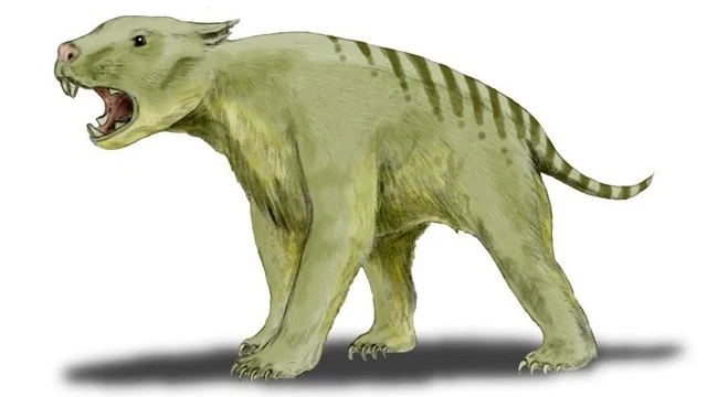 León marsupial 