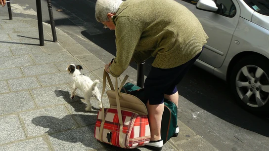 Señora paseando a su perro Señora paseando a su perro