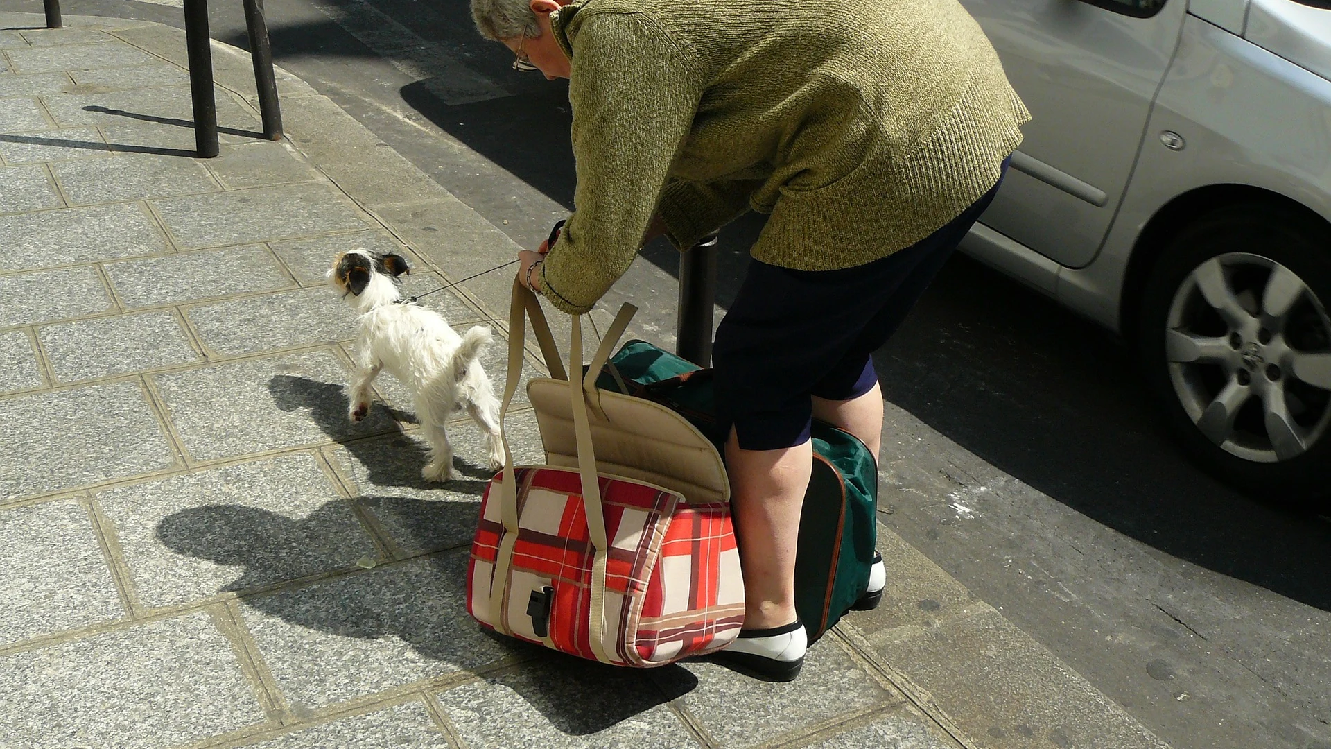 Señora paseando a su perro