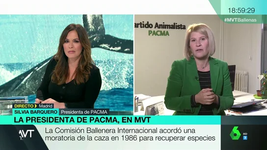 Silvia Barquero (Pacma): "Japón utiliza el argumento de la tradición para justificar la matanza de ballenas y estamos asistiendo a una extinción" Silvia Barquero (Pacma): "Japón utiliza el argumento de la tradición para justificar la matanza de ballenas y estamos asistiendo a una extinción"