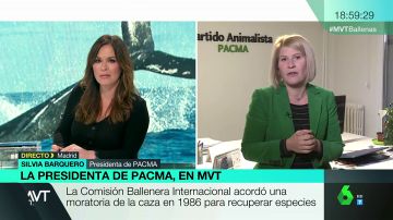 Silvia Barquero (Pacma): "Japón utiliza el argumento de la tradición para justificar la matanza de ballenas y estamos asistiendo a una extinción"